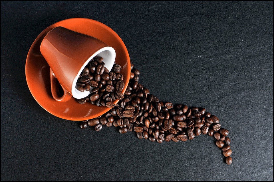 Logo des marques que l'on réparare, Jura, Delonghi, Krups, Philips, Melitta